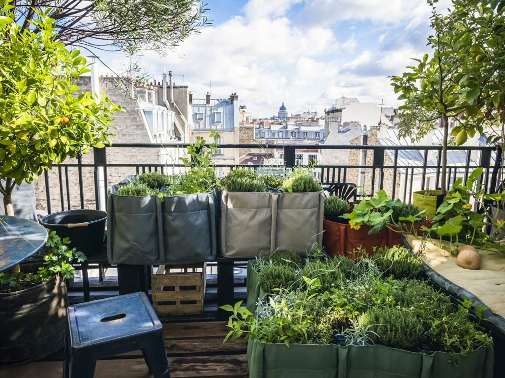 photo d'un balcon avec des pots de partout ou l'on retrouve des légumes et des herbes aromatique